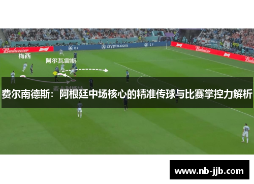 费尔南德斯：阿根廷中场核心的精准传球与比赛掌控力解析